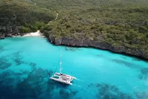 BlueFinn_West_Coast_Snorkeling